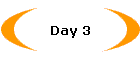 Day 3