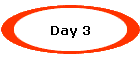 Day 3