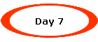 Day 7