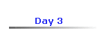 Day 3