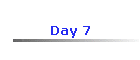 Day 7