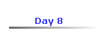 Day 8