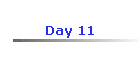 Day 11