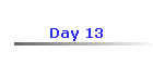 Day 13