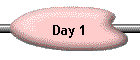 Day 1