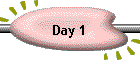 Day 1