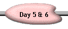 Day 5 & 6