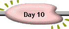 Day 10