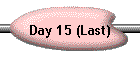 Day 15 (Last)