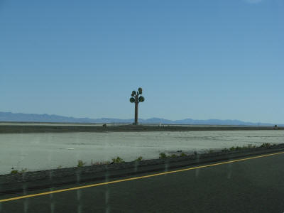 Metaphor, Tree of Life, Nowhere Utah