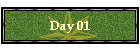 Day 01