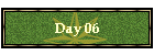 Day 06