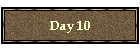 Day 10