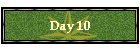 Day 10