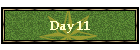 Day 11