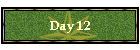 Day 12