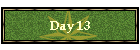 Day 13